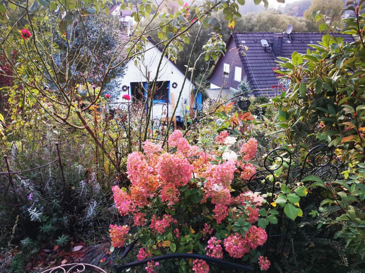 Ferienhaus Mit Riesen Garten, Drei Terrassen, Toller Aussicht Am Waldrand, Auch Als Monteur-Wohnung Hemer Dış mekan fotoğraf